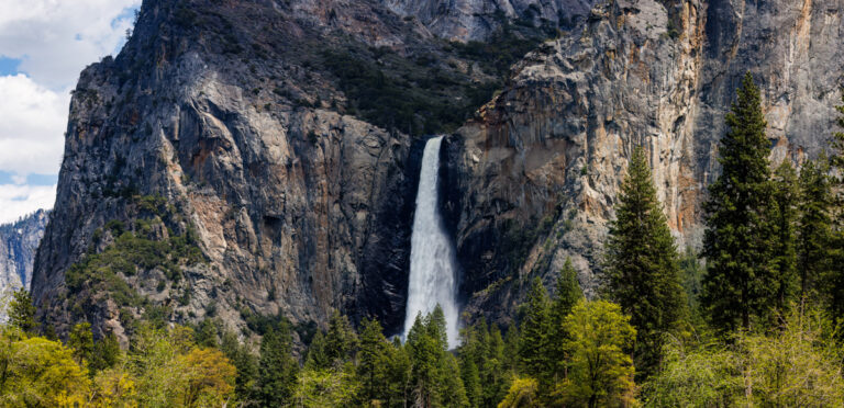 A panoramic photo of Bridalveil Fall in Yosemite National Park showcases the majestic waterfall cascading down a granite cliff, framed by lush greenery. The water plunges gracefully, creating a misty veil that contrasts with the rugged rock face. The surrounding landscape includes tall pines and the iconic Yosemite Valley, all under a clear blue sky. The wide view captures the grandeur and serene beauty of this natural wonder, emphasizing the harmonious blend of water, rock, and forest.