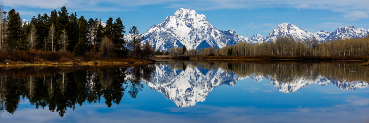 A panoramic view of Oxbow Bend in Grand Teton National Park, featuring the snow-capped Mount Moran prominently reflected in the still waters of the Snake River. The banks of the river are bordered by bare aspen trees and dense evergreens, with a clear blue sky enhancing the tranquility and symmetry of the scene.