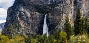 Read more about the article Experiencing Majestic Bridalveil Fall: A Panoramic Adventure in Yosemite National Park