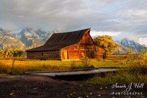 Read more about the article Timeless Beauty: The TA Moulton Barn on a Rainy Golden Morning