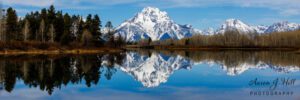 Read more about the article A Tranquil Morning at Oxbow Bend