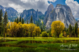 Read more about the article Yosemite Valley: A Journey Through Time and Wonder